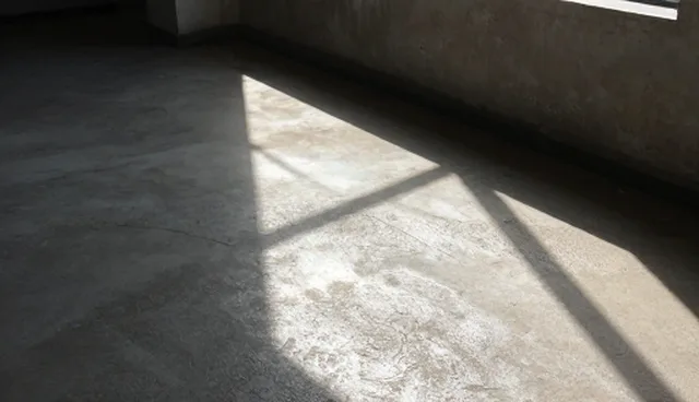 服务效果：合作关系对业务发展趋势的影响分析